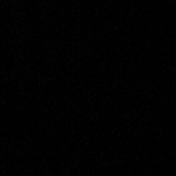 Meet your Posher, Izzy - Picture 1 of 1